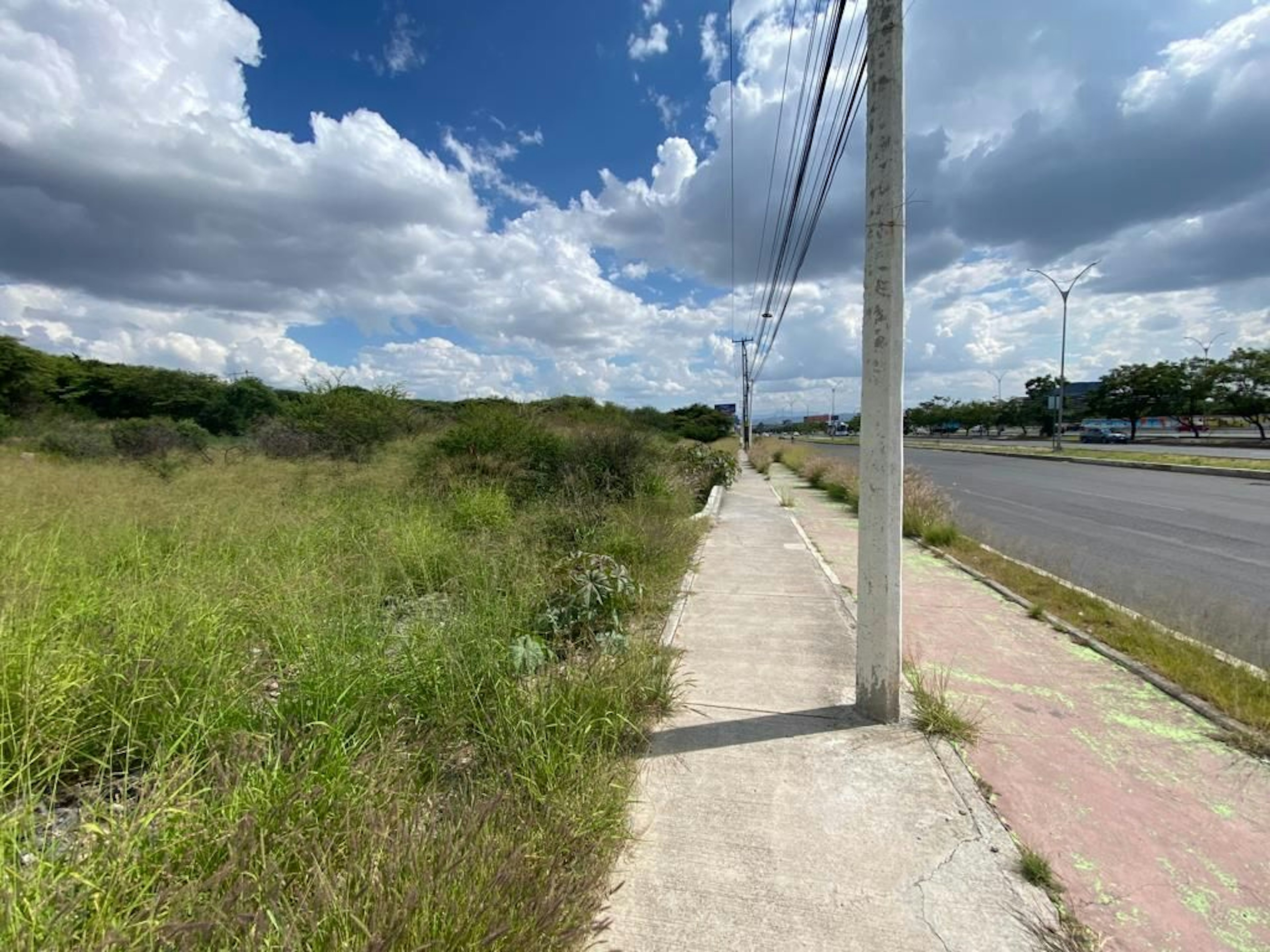 Spot image 0