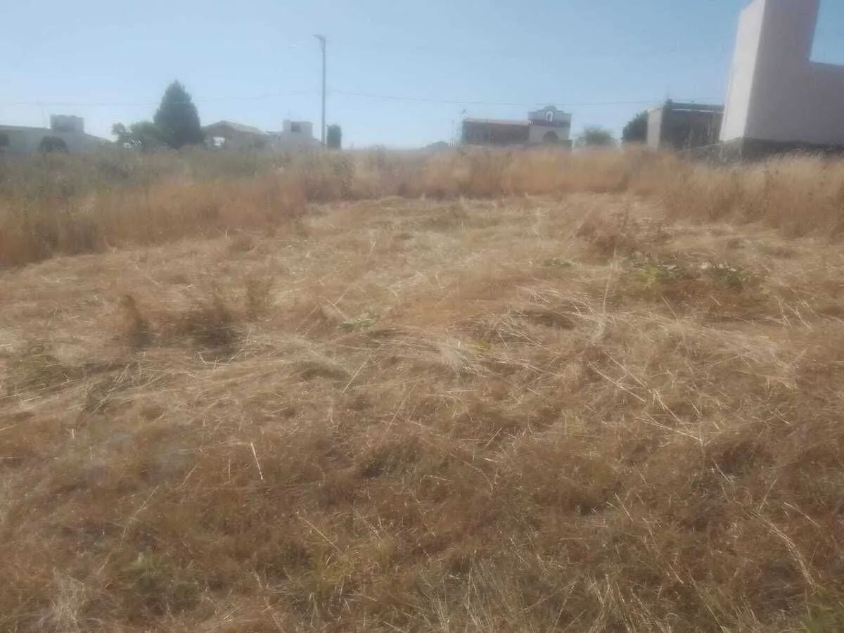 Terreno Spot2