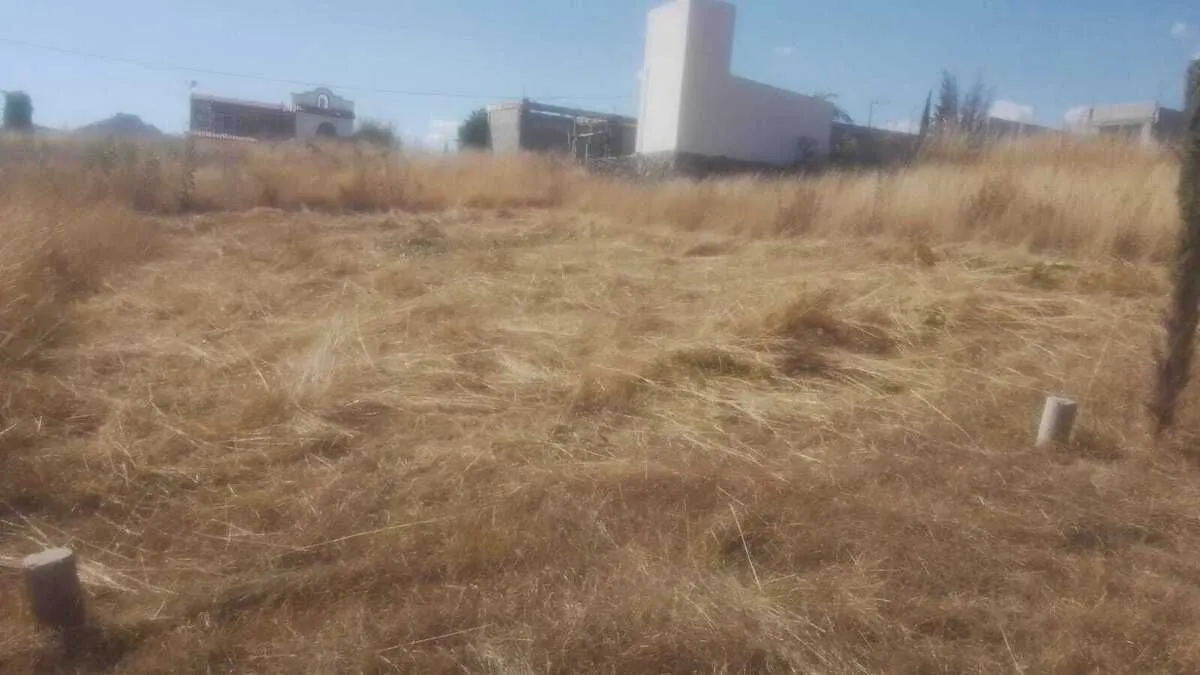 Terreno Spot2