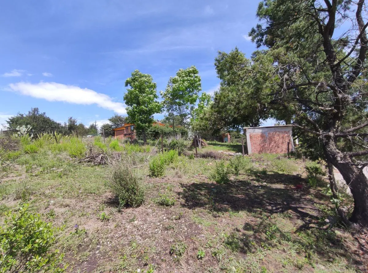 Terreno Spot2