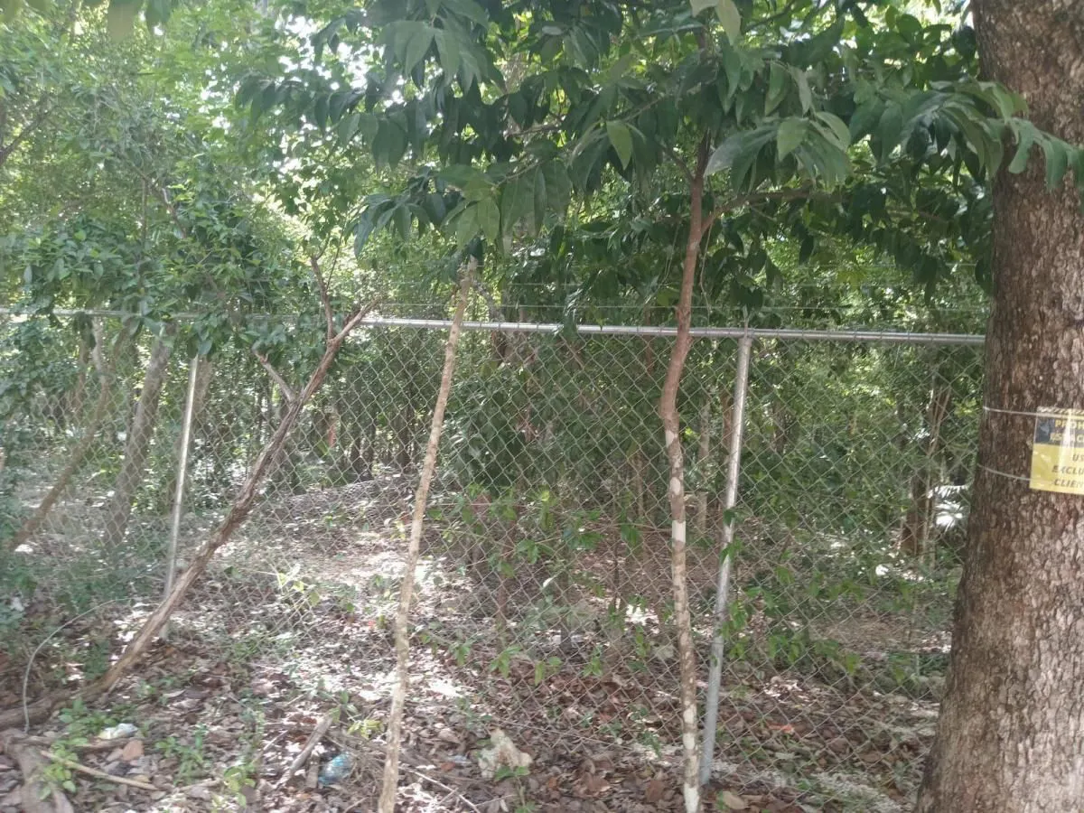 Terreno Spot2