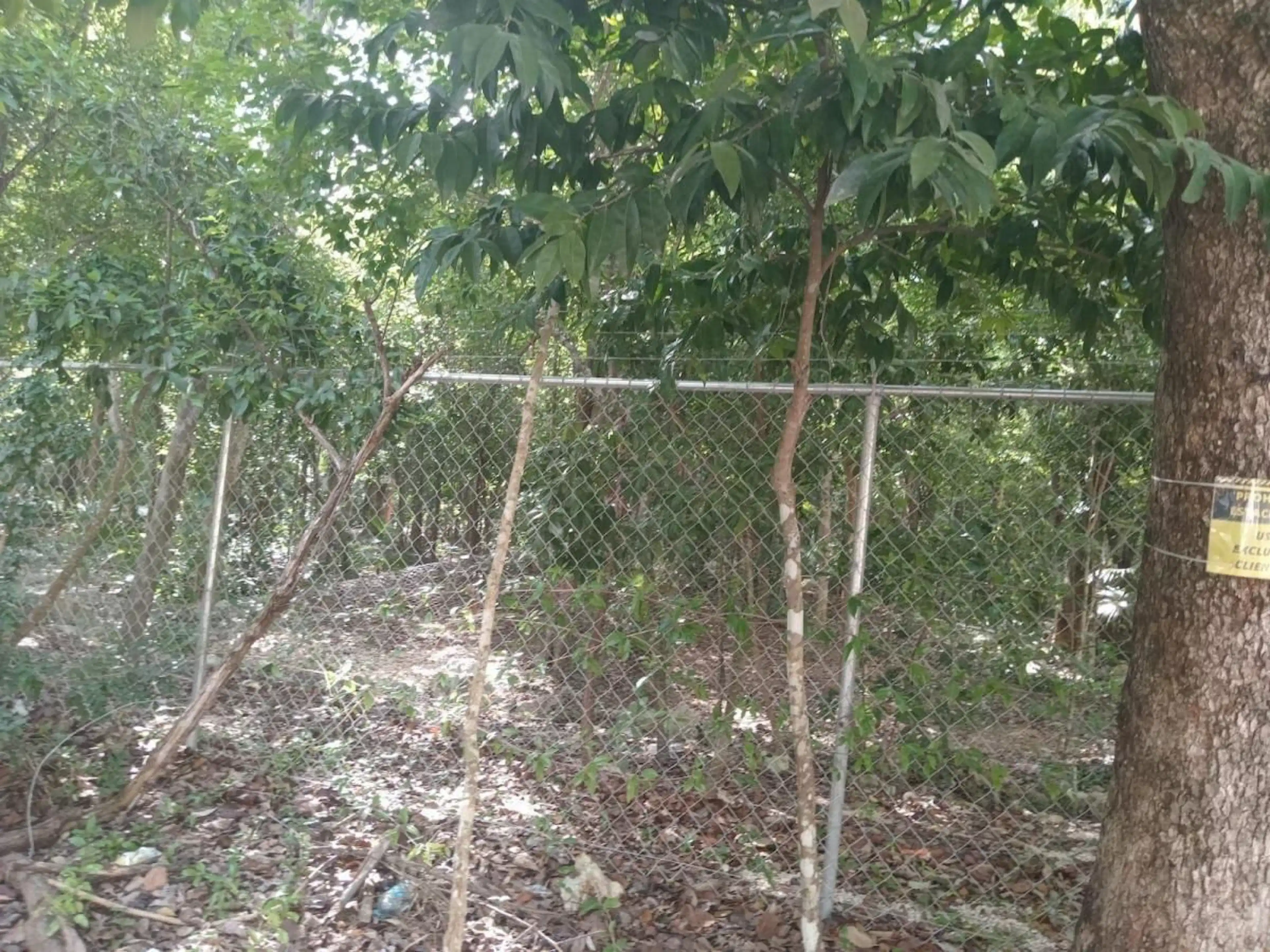 TERRENO EN VENTA EN TULUM