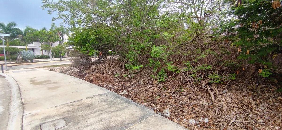 Terreno Spot2