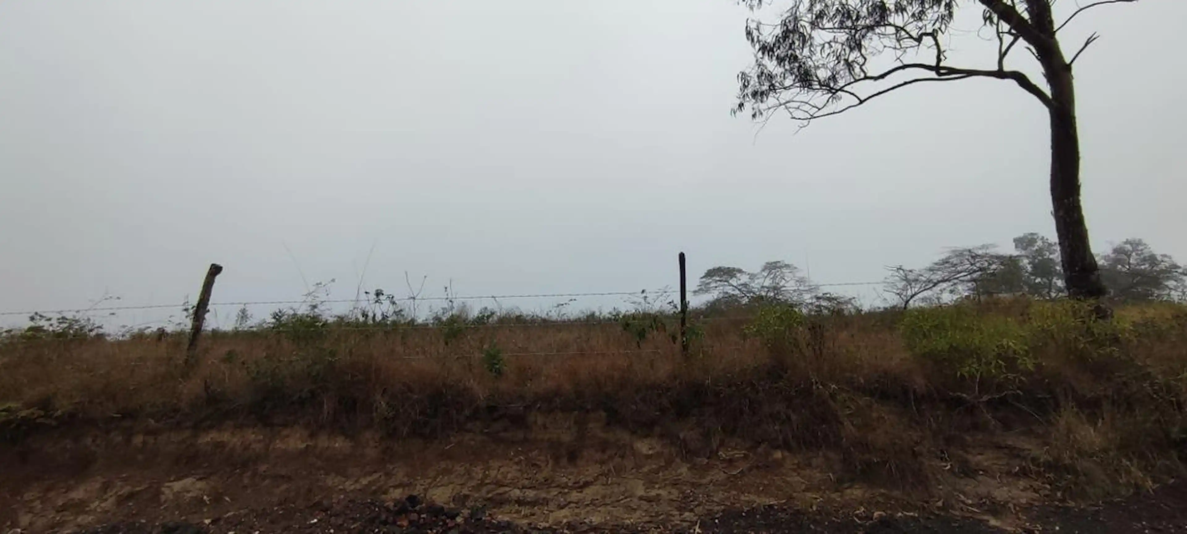 Terreno En Venta En Emiliano Zapata En Zona La Pradera