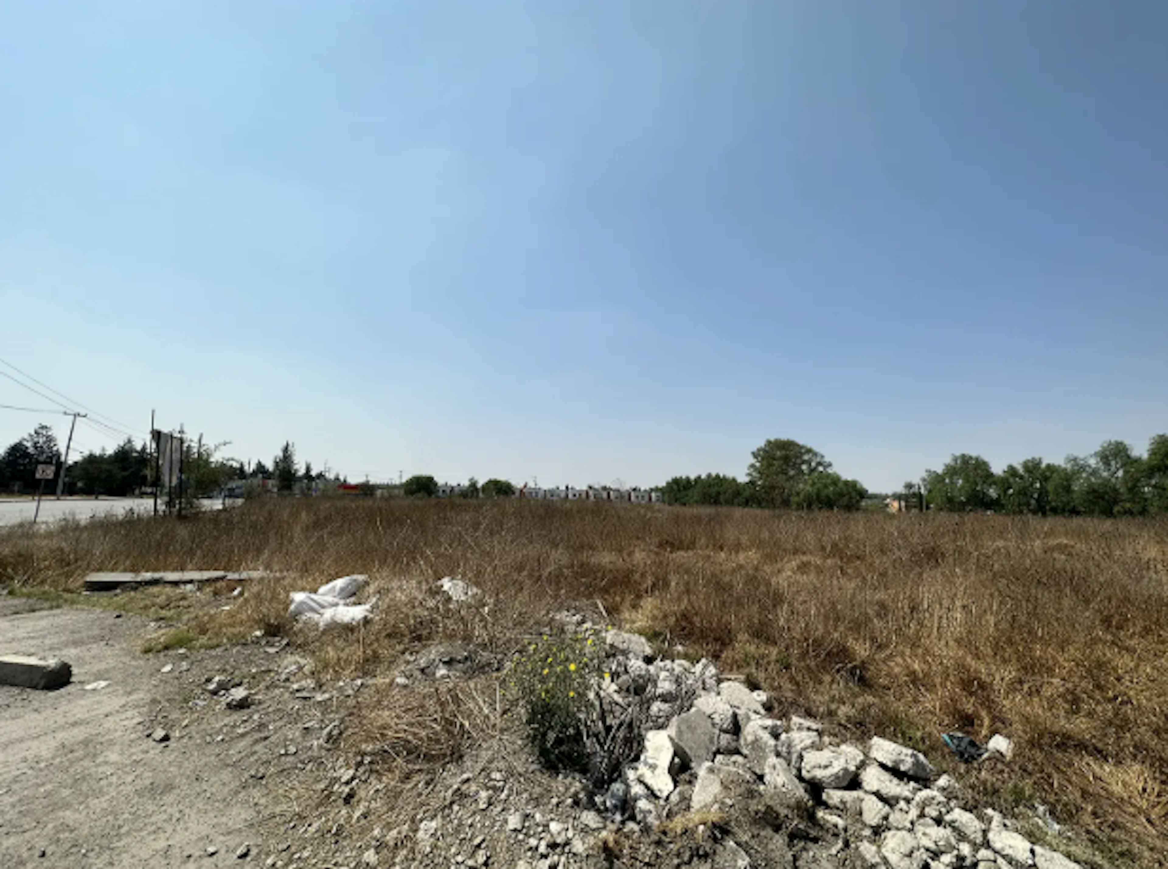 Ave. Teodoro González De León