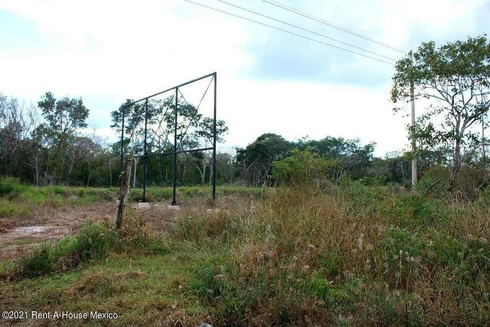 Terreno Spot2